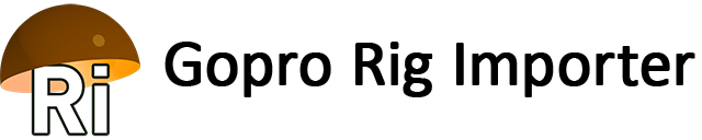 RigImporter Logo